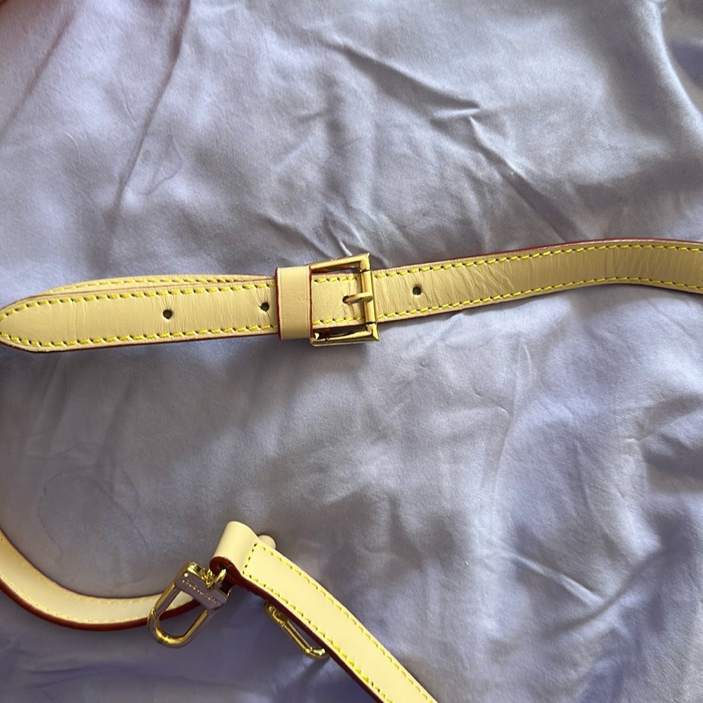 Louis Vuitton purse strap